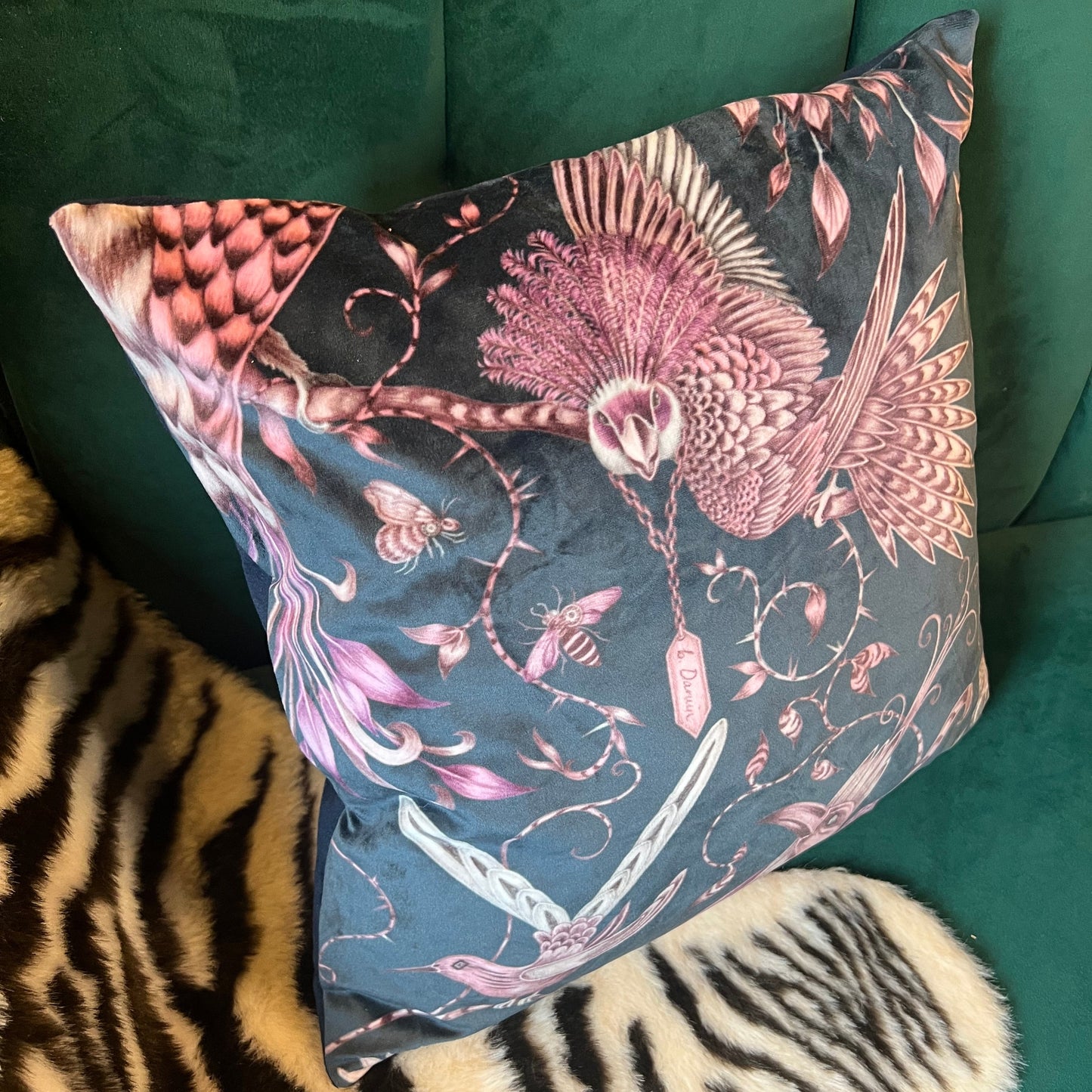 Audubon birds luxury velvet cushion Emma J Shipley