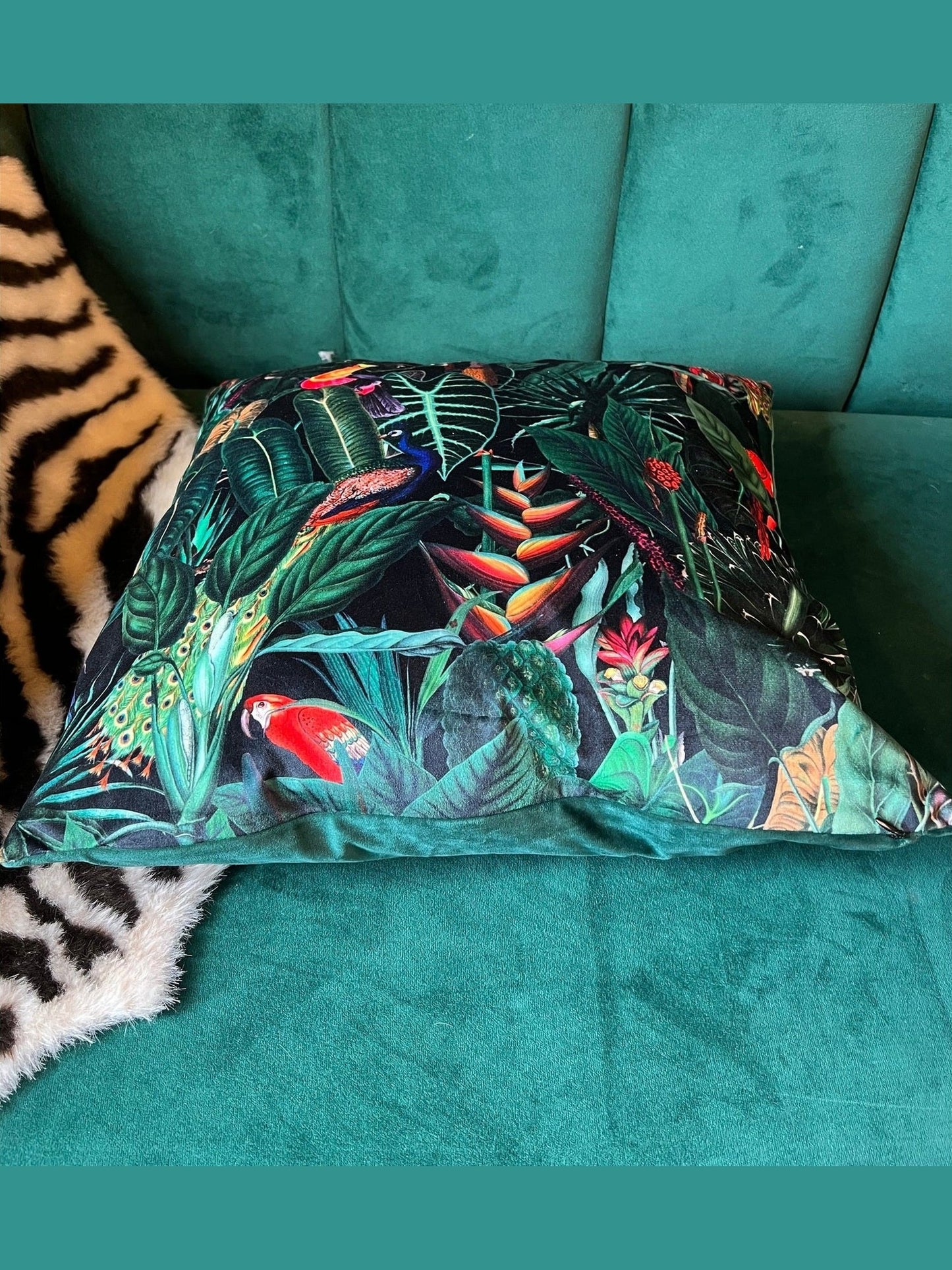 Rainforest jungle parrot toucan luxury black velvet cushion