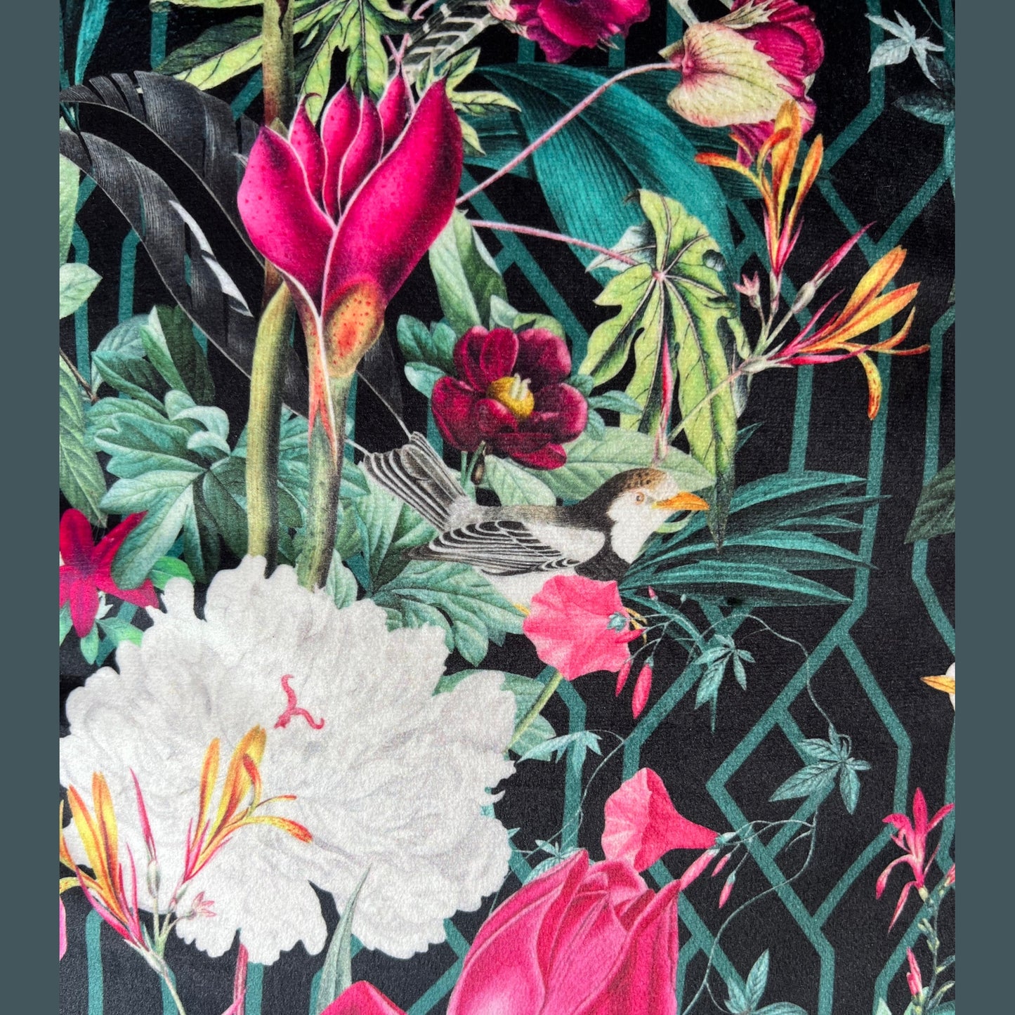 Geometric birds luxury black velvet cushion