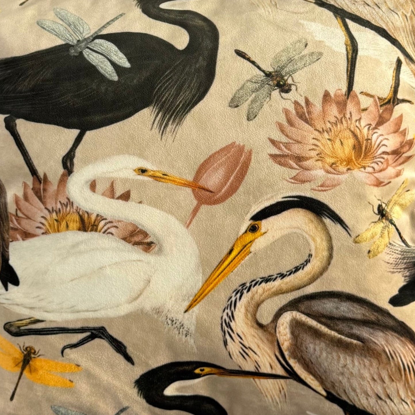 Herons & Egrets | Cream & Black Velvet | Cushion