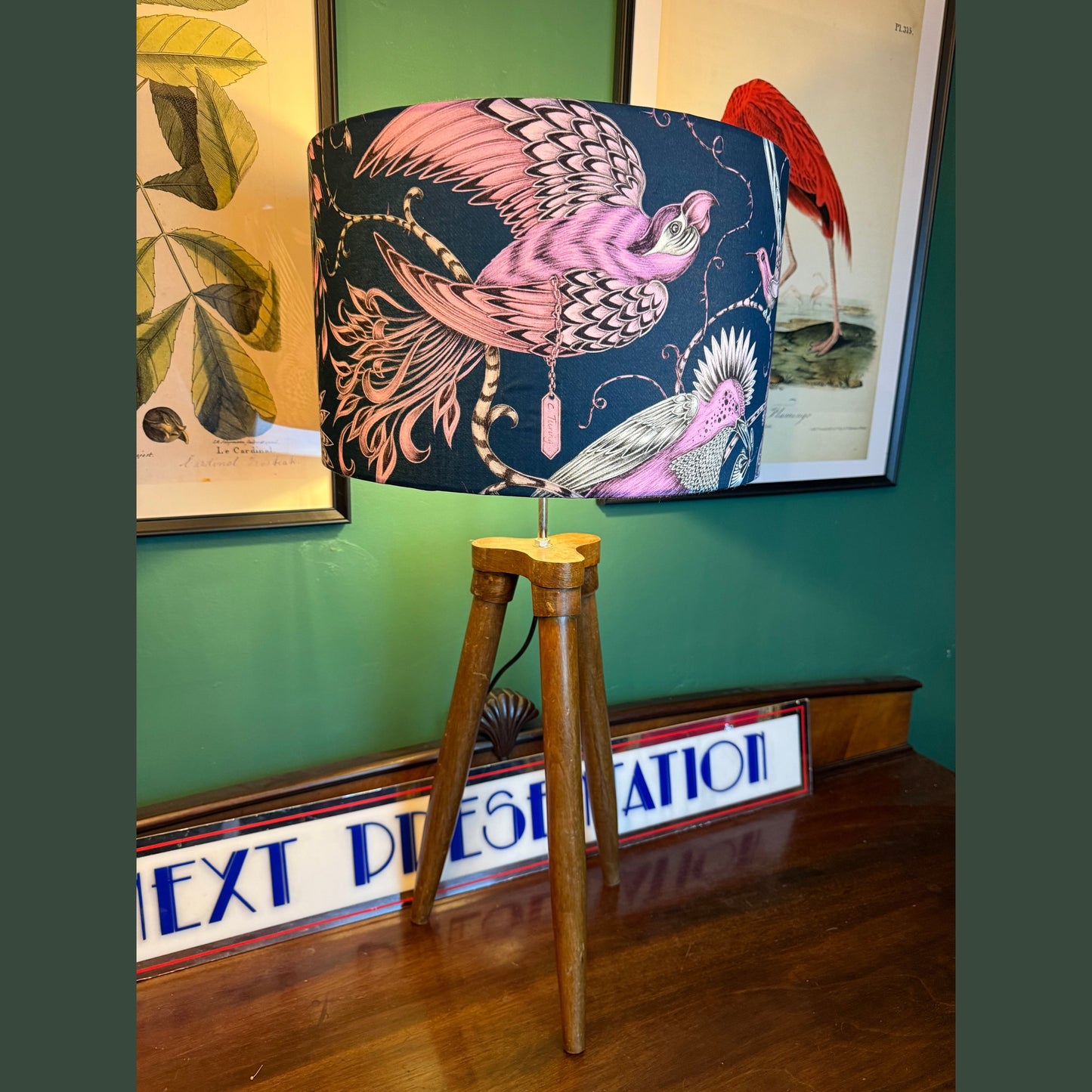 The Audubon 
lampshade Emma J Shipley birds parrot