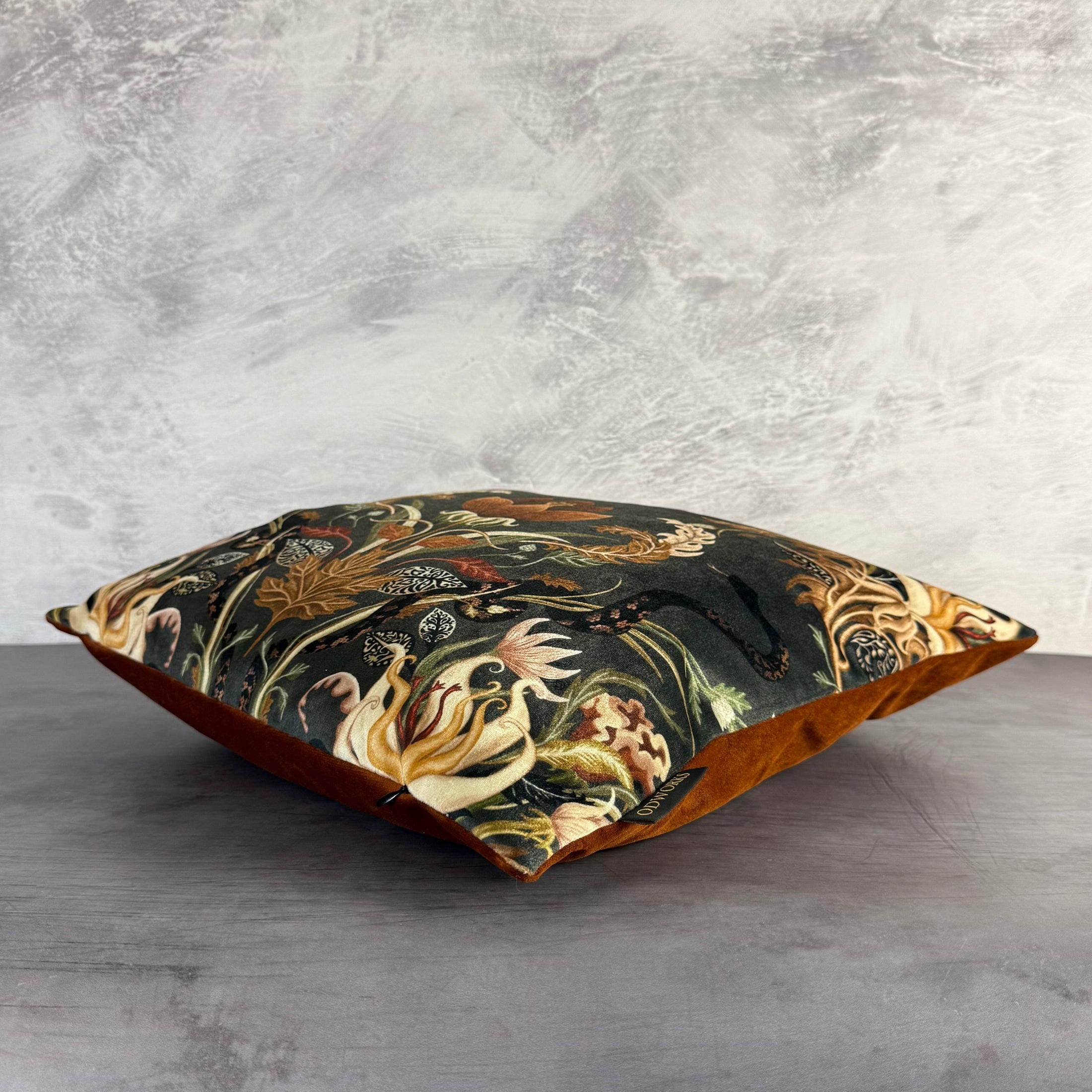 Serpentwind | Black & Gold Velvet | Becca Who | Cushion