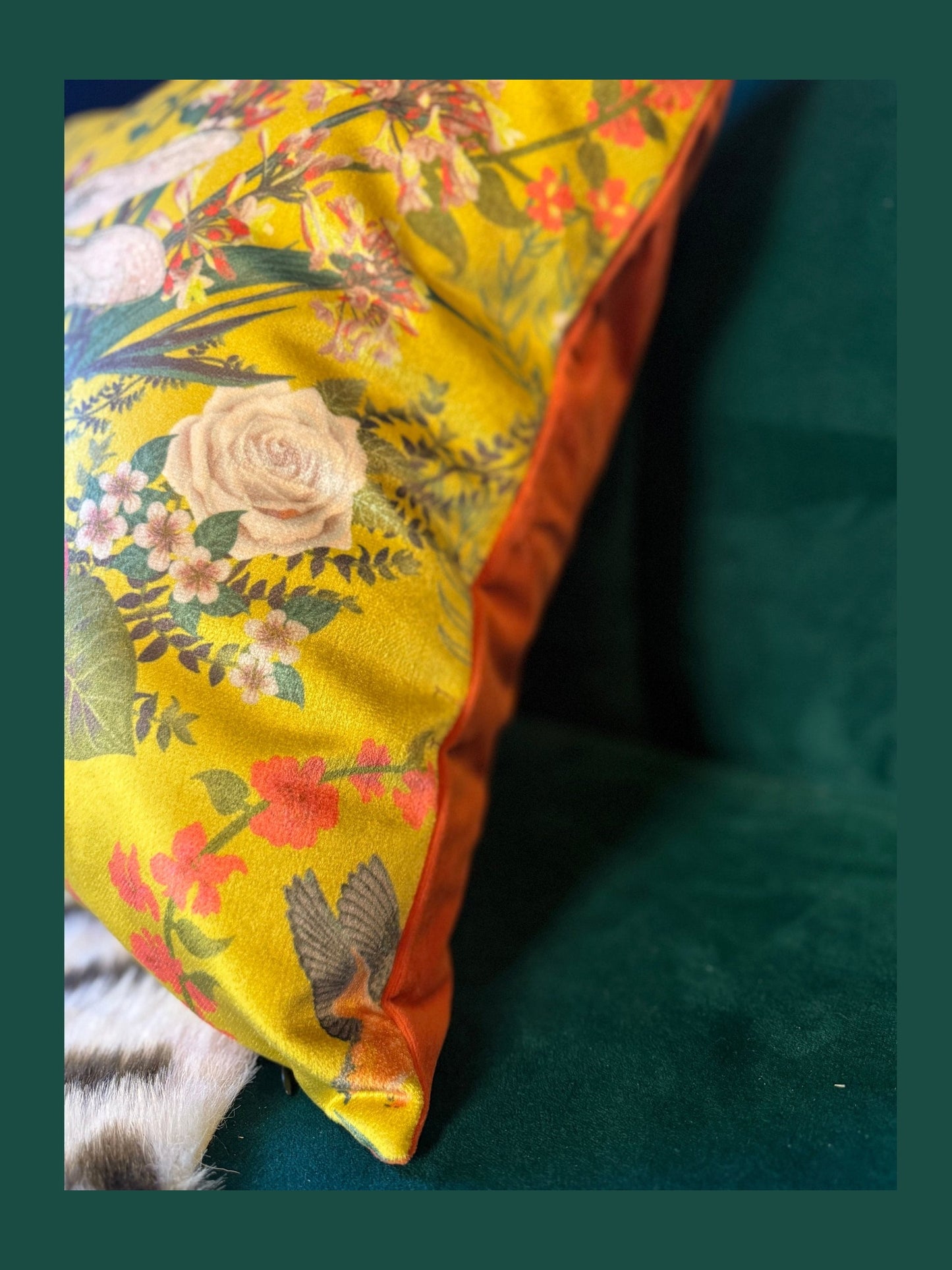 Garden treasures citrus yellow luxury velvet cushion Becca Who
