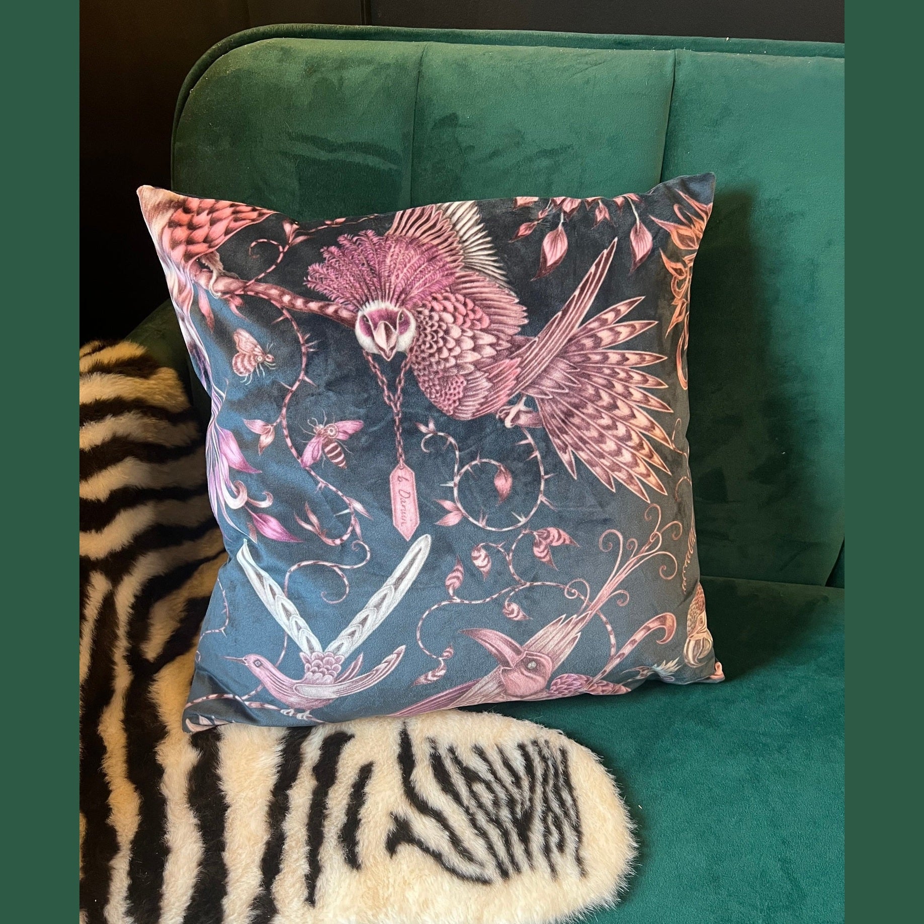 Audubon Birds | Teal & Pink Velvet | Emma J Shipley | Cushion