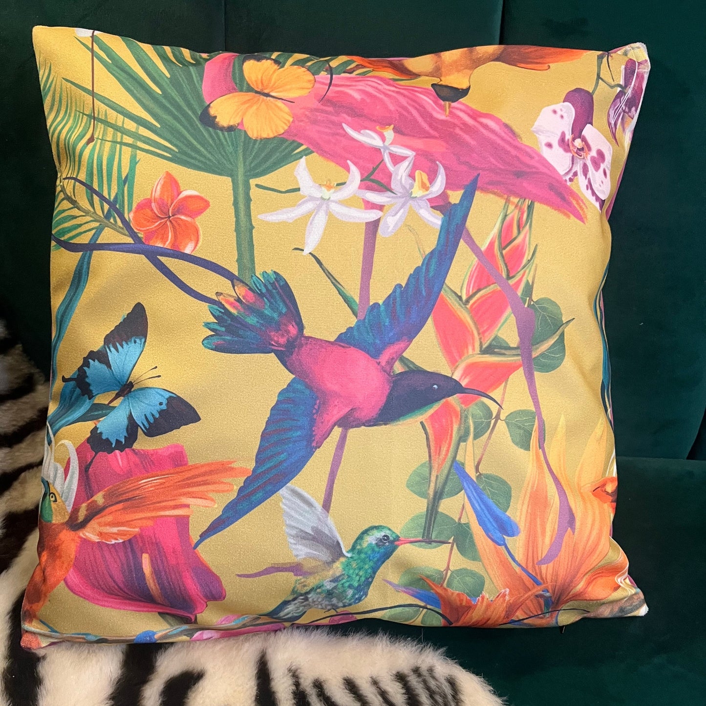 Tropical humming birds luxury velvet cushion