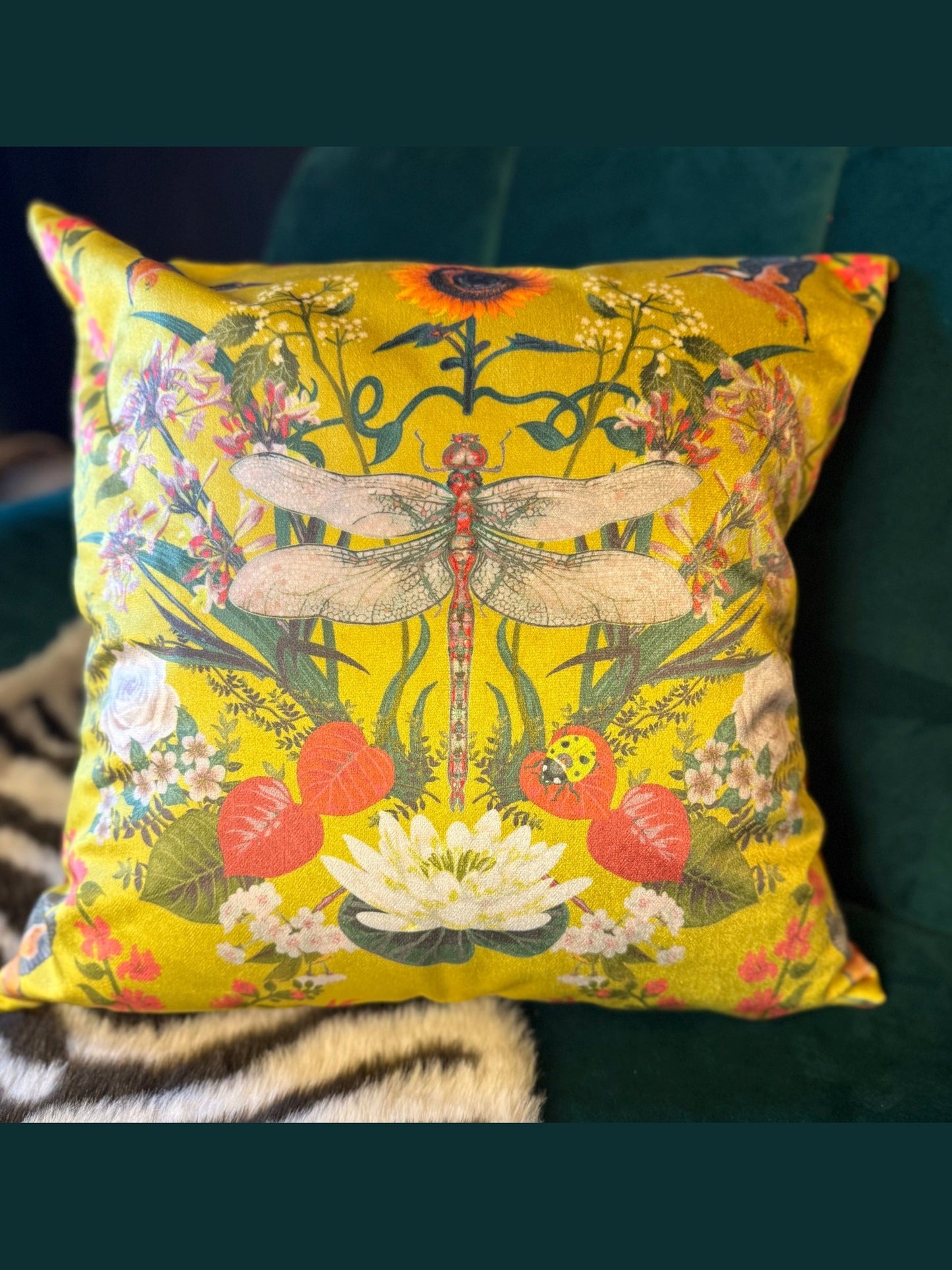 Garden treasures citrus yellow luxury velvet cushion Becca Who
