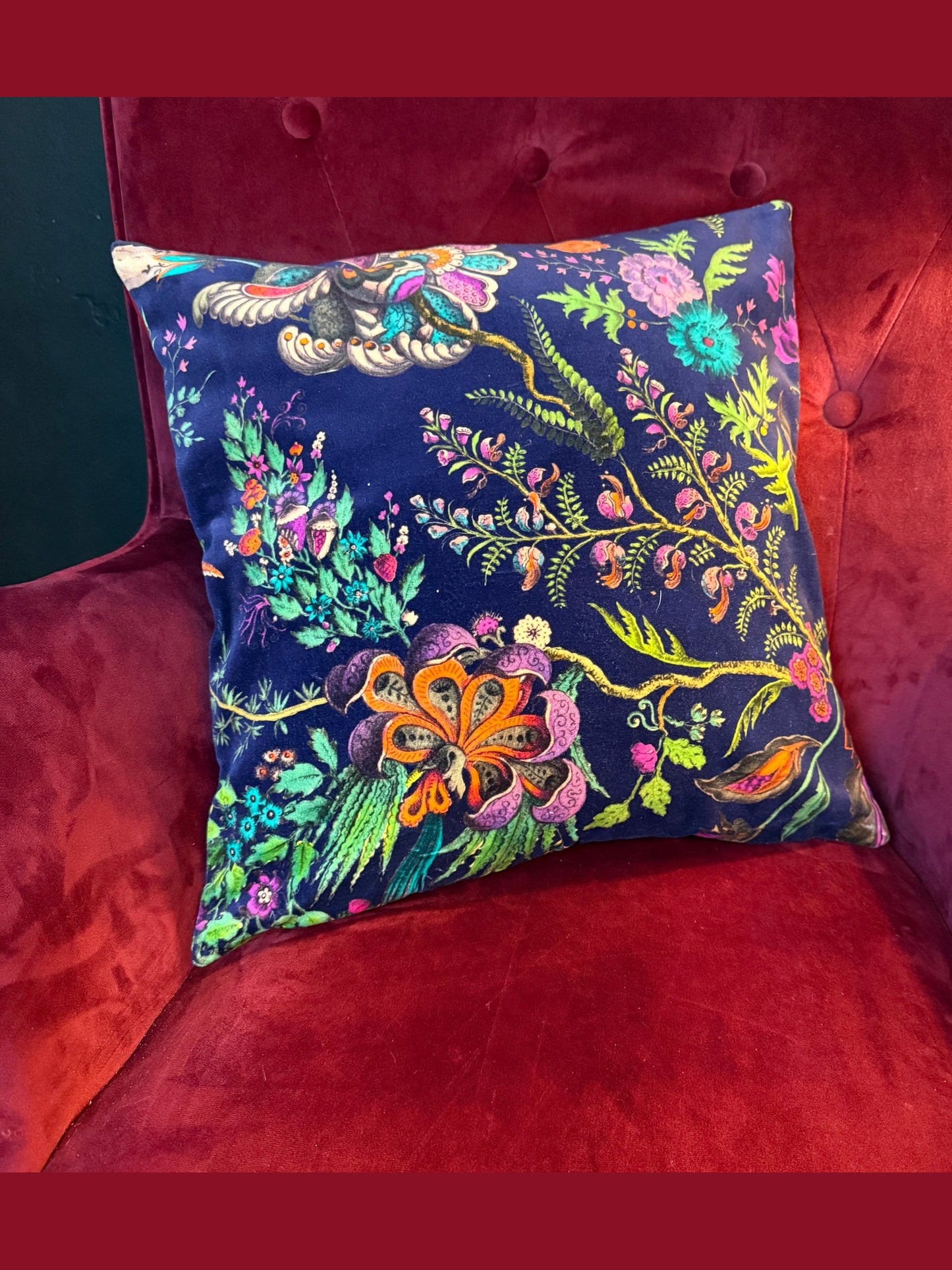 Wonderland luxury velvet cushion Sophie Robinson Harlequin