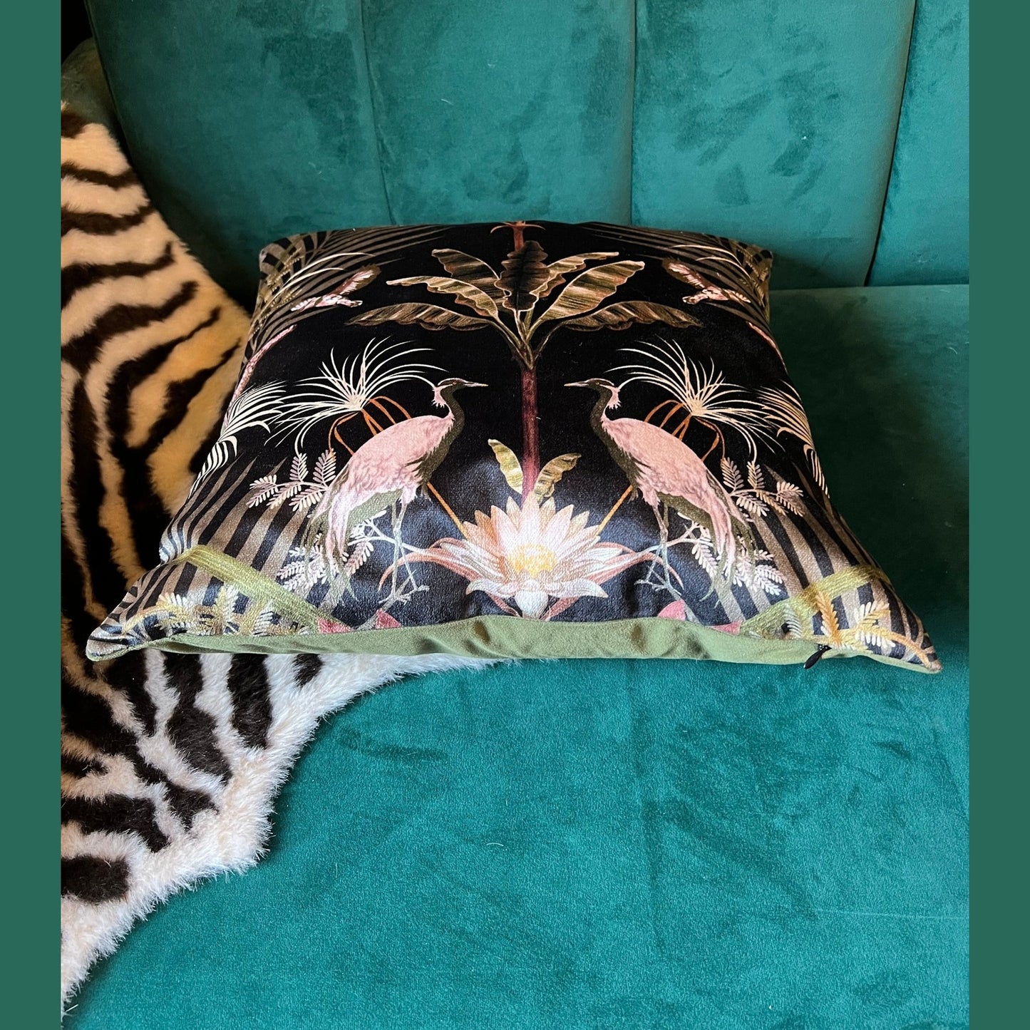 Crocodilia luxury ebony velvet cushion Becca Who