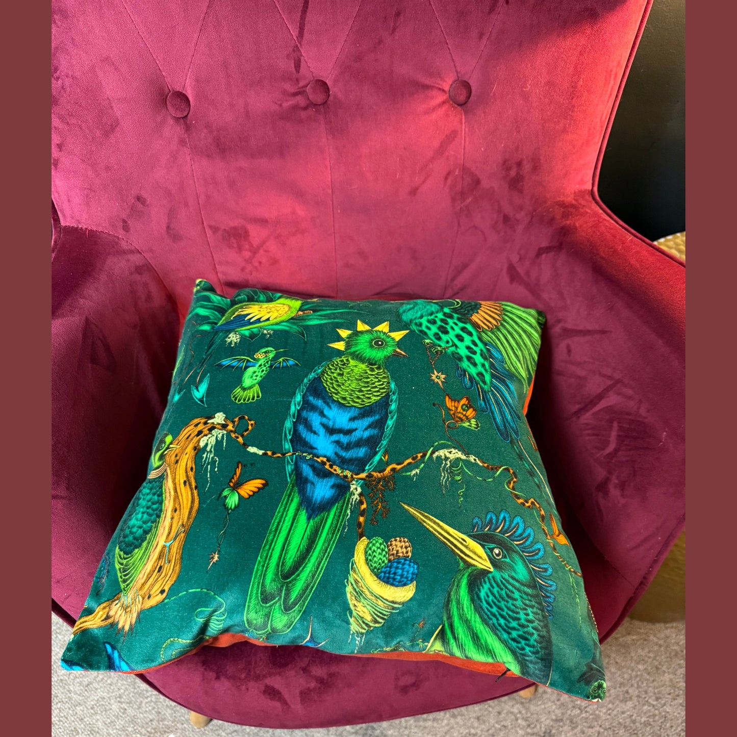 Quetzal teal luxury velvet cushion Emma J Shipley