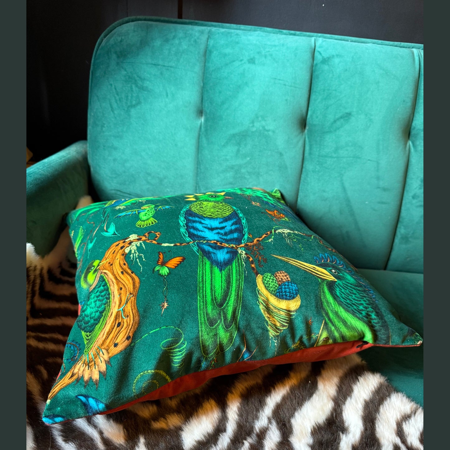 Quetzal teal luxury velvet cushion Emma J Shipley