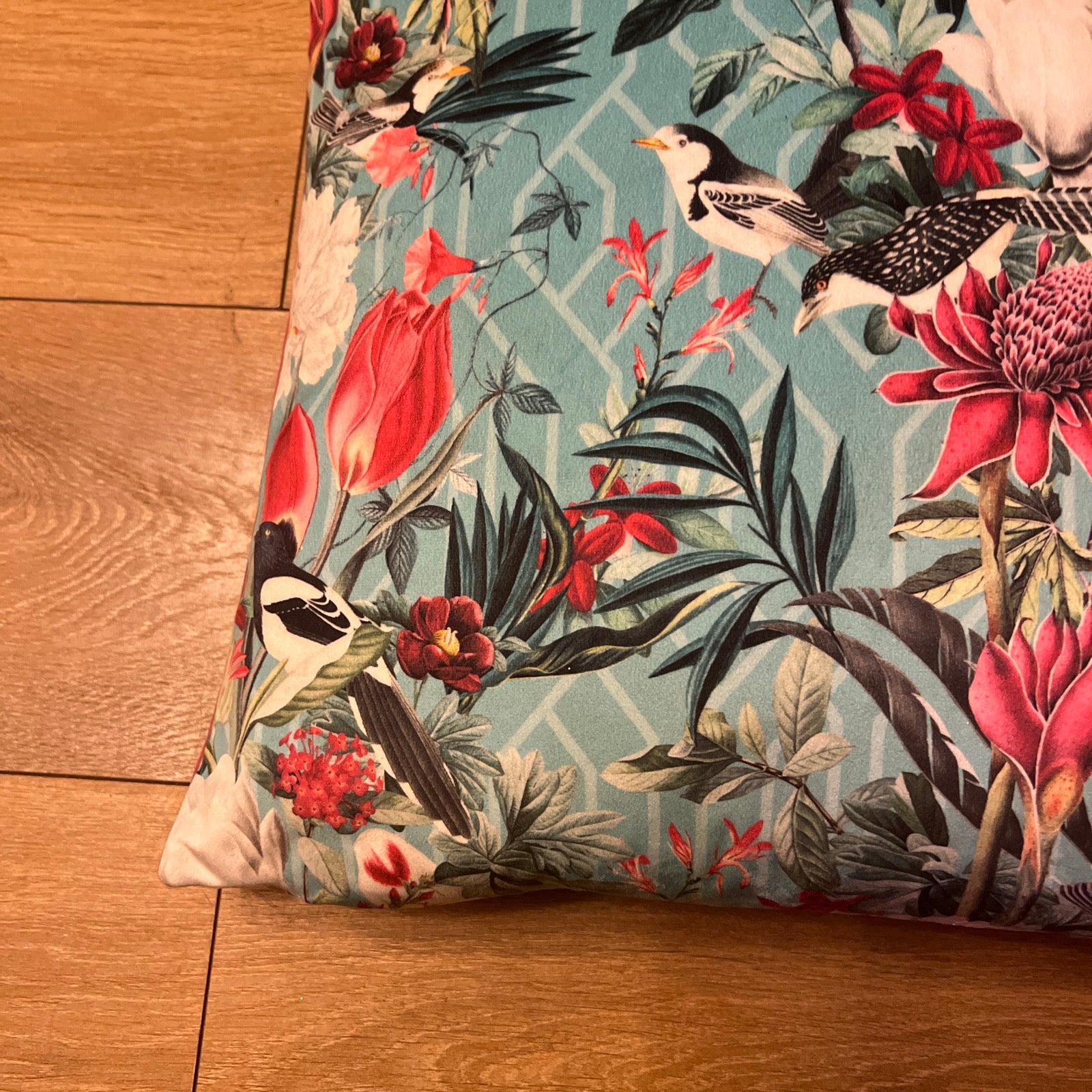 Geometric Birds | Teal & Pink Velvet | Cushion