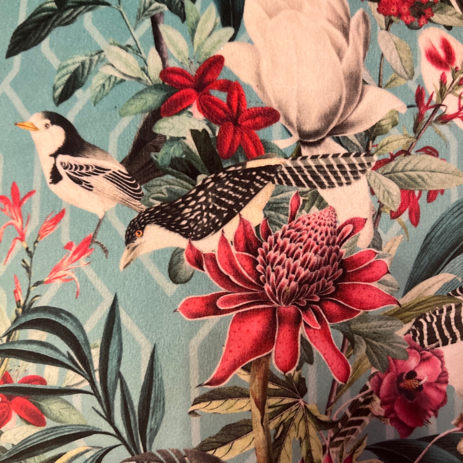 Geometric Birds | Teal & Pink Velvet | Cushion