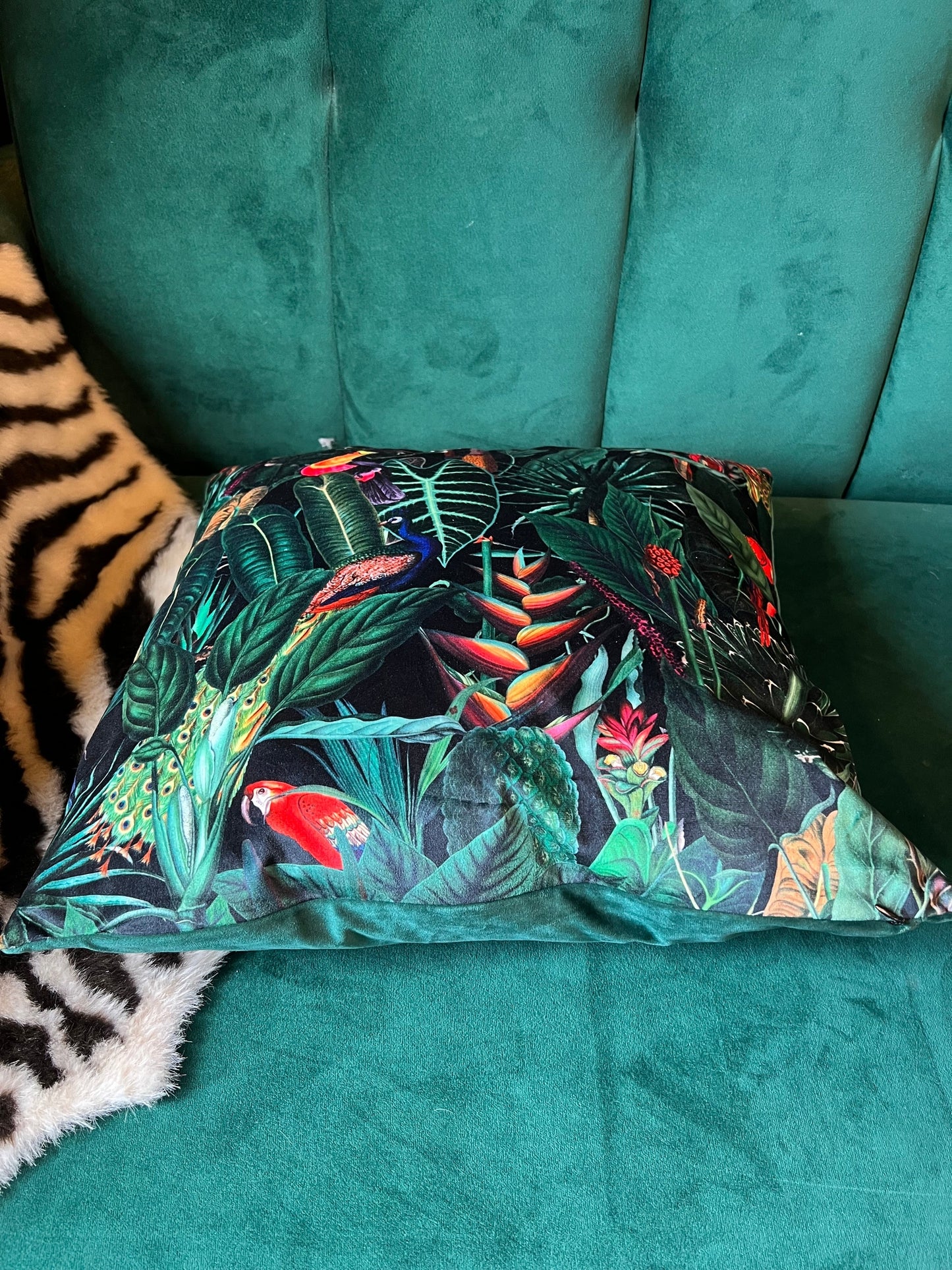 Rainforest jungle parrot toucan luxury  black velvet cushion