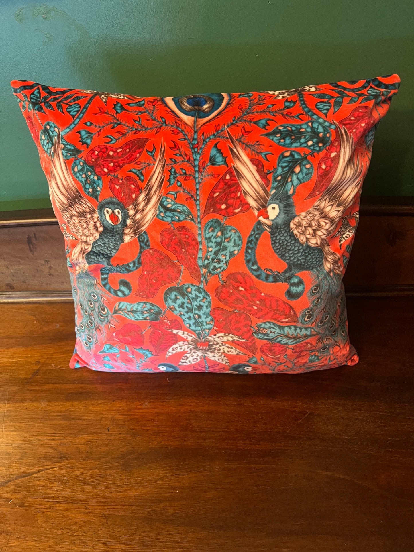 Emma J Shipley luxury velvet cushion