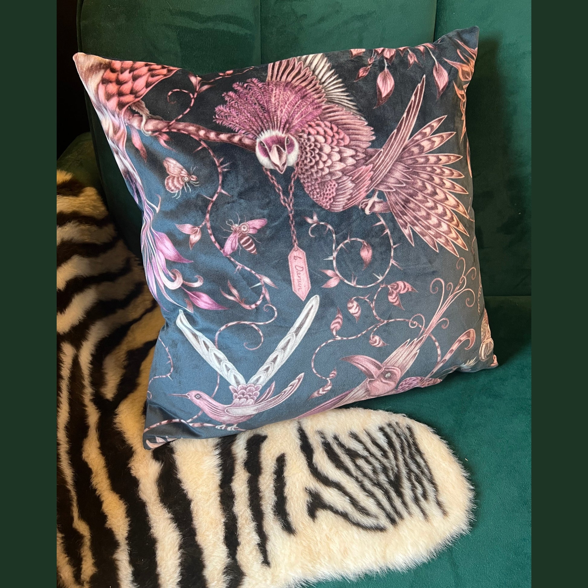 Audubon birds luxury velvet cushion Emma J Shipley