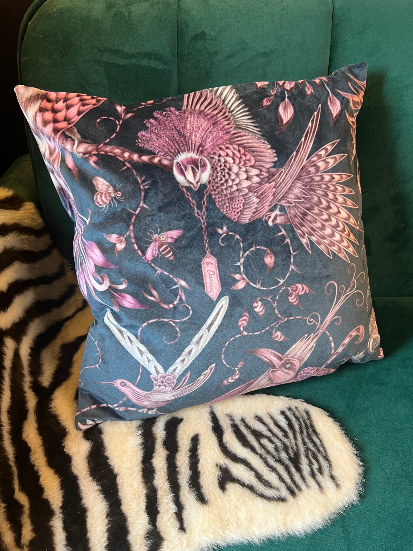 Audubon birds luxury velvet cushion Emma J Shipley