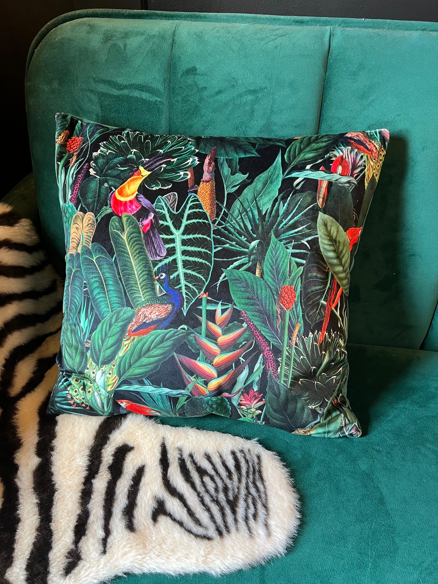 Rainforest jungle parrot toucan luxury  black velvet cushion