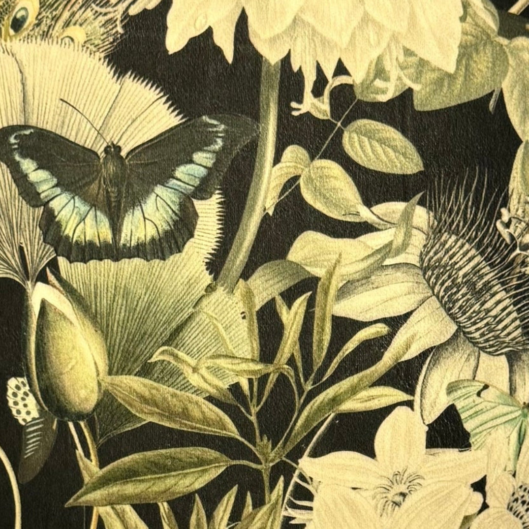 Cylinder - Peacocks and Butterflies - Collab