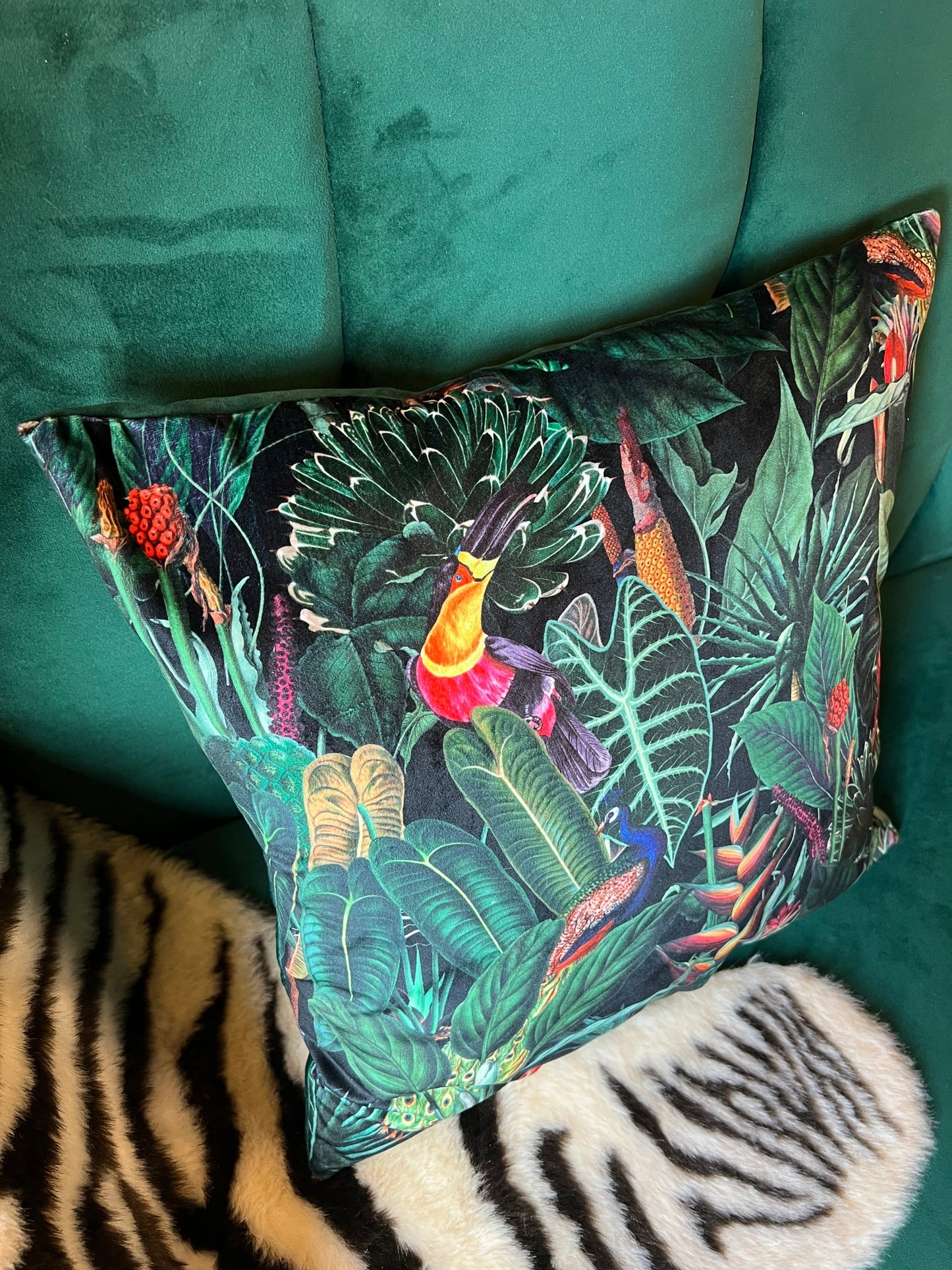 Rainforest jungle parrot toucan luxury  black velvet cushion