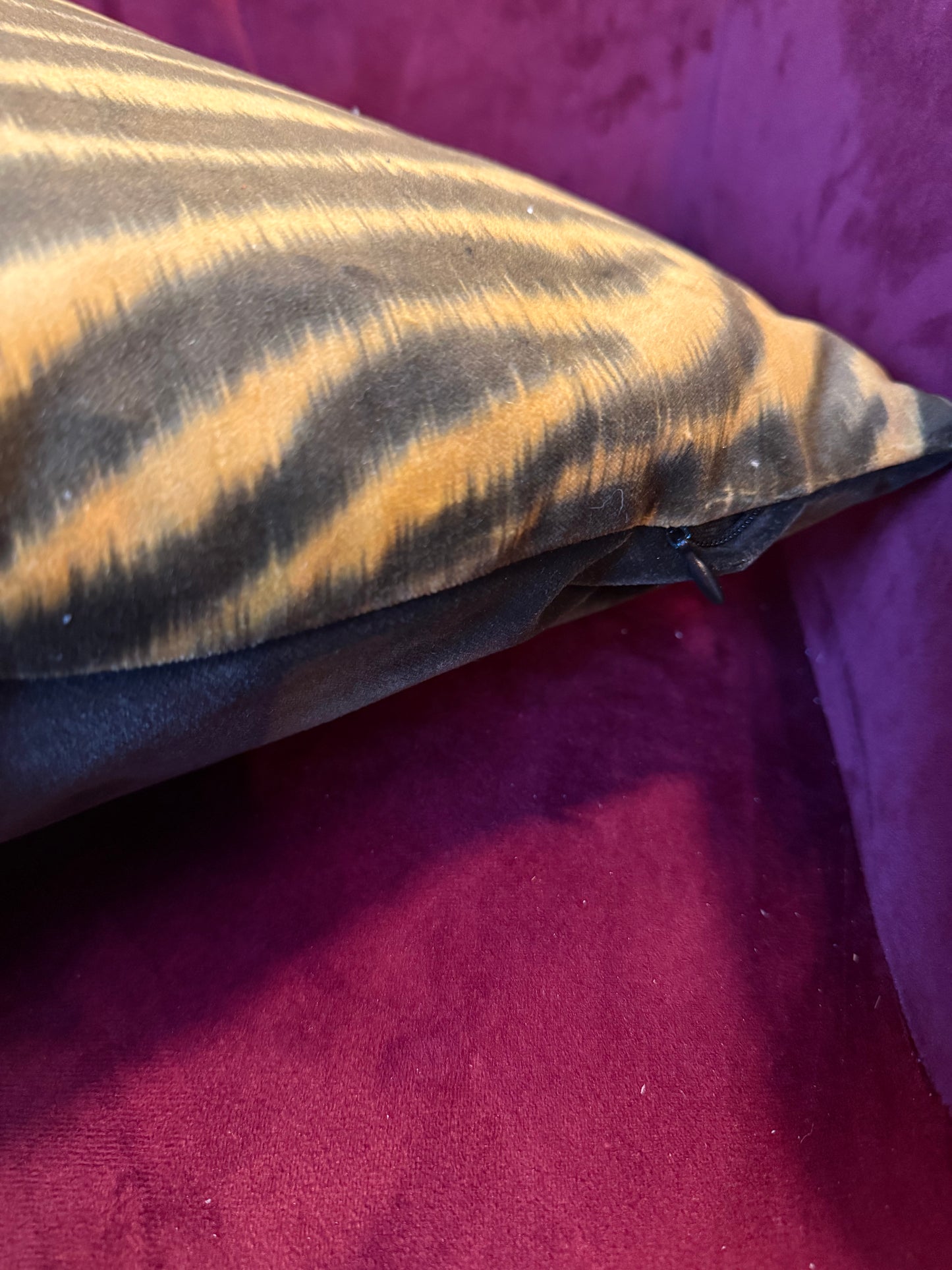 Golden zebra print luxury velvet cushion Harlequin