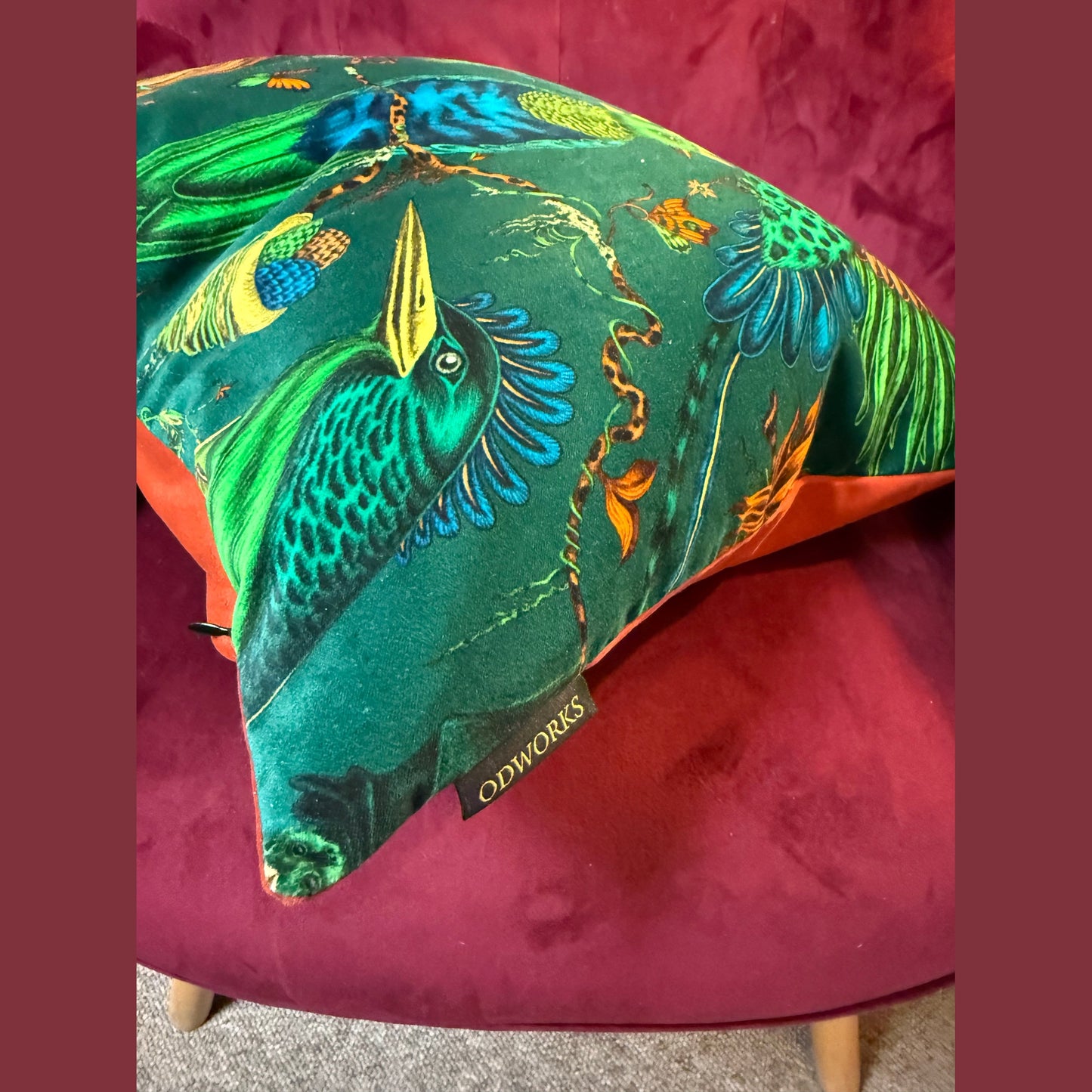 Quetzal teal luxury velvet cushion Emma J Shipley