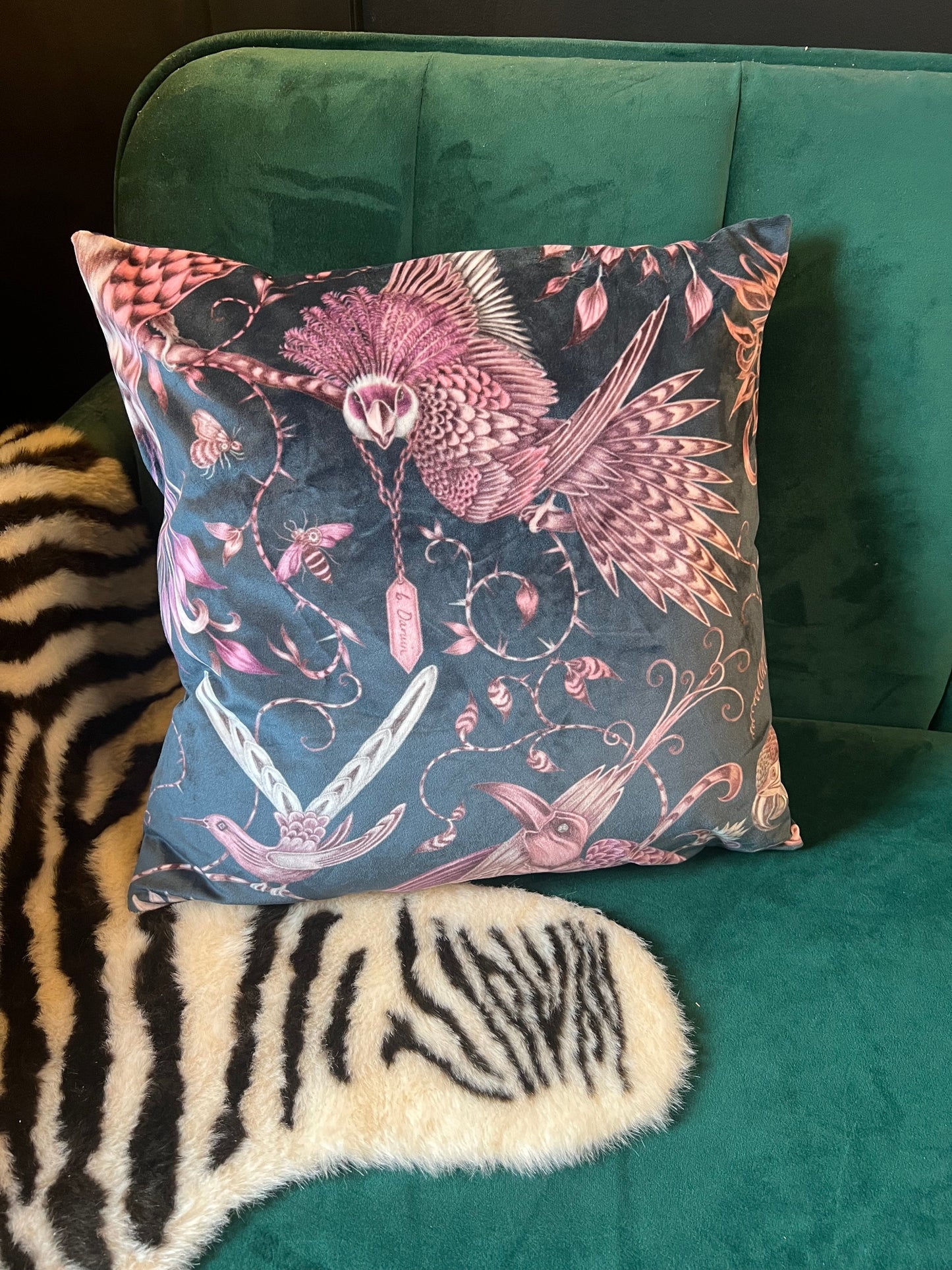 Audubon birds luxury velvet cushion Emma J Shipley