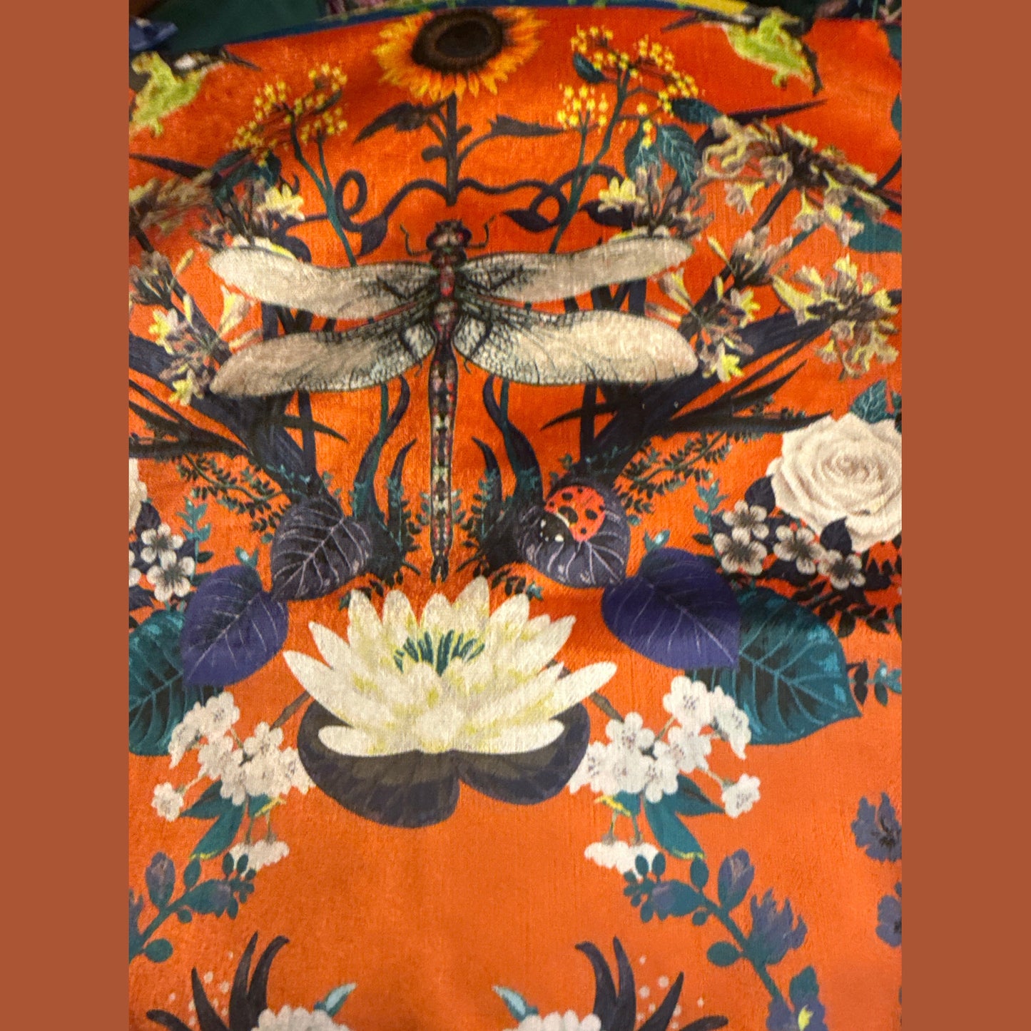 Garden treasures orange luxury velvet cushion Becca Who
