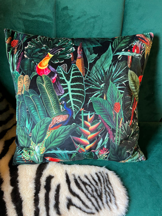 Rainforest jungle parrot toucan luxury  black velvet cushion