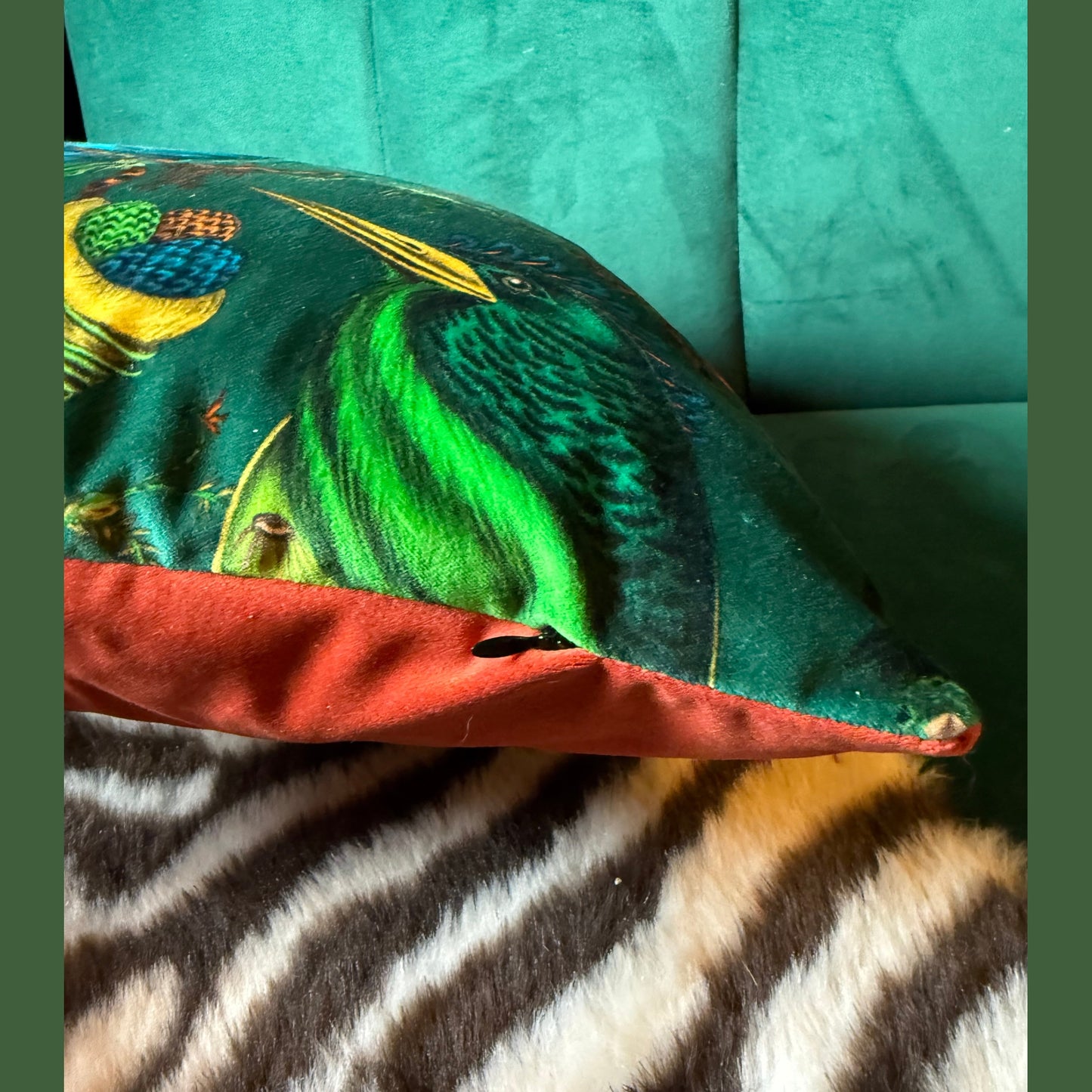 Quetzal teal luxury velvet cushion Emma J Shipley